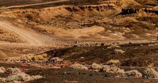 休斯顿太空人队在作弊丑闻后的首个有观众客场，遭遇嘘声海洋