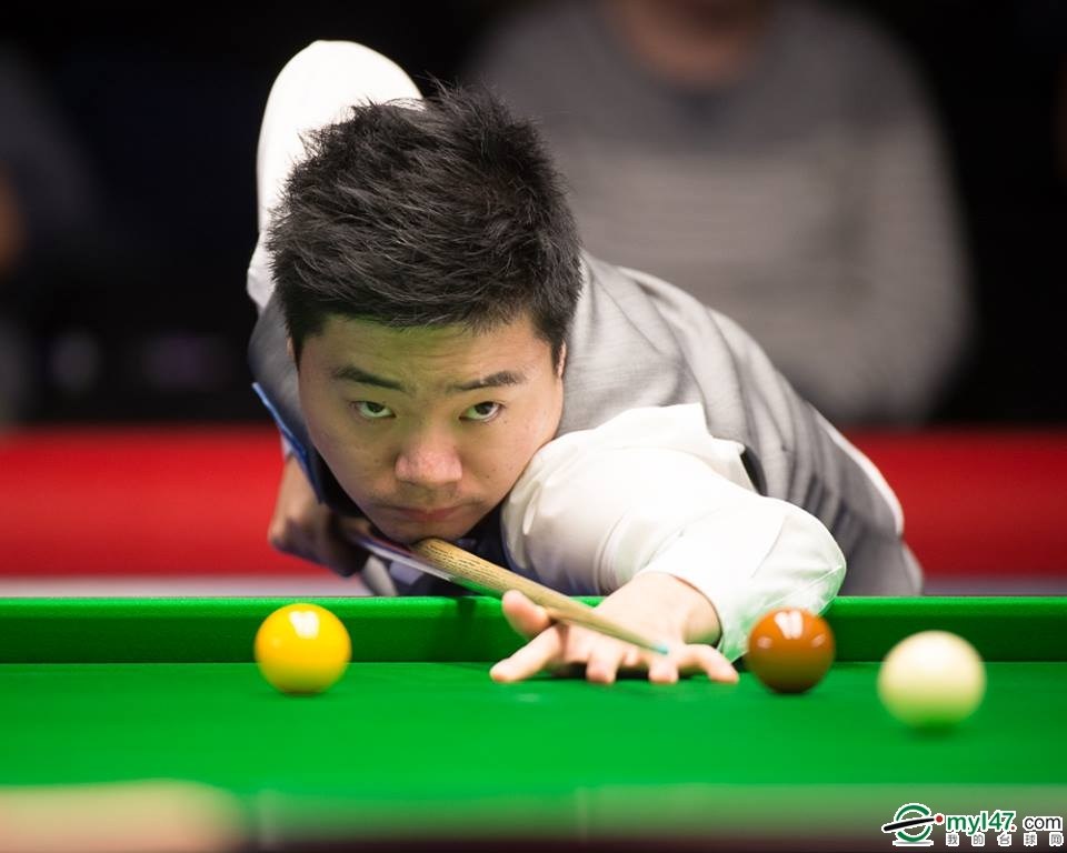 季一直在寻 季一直在寻